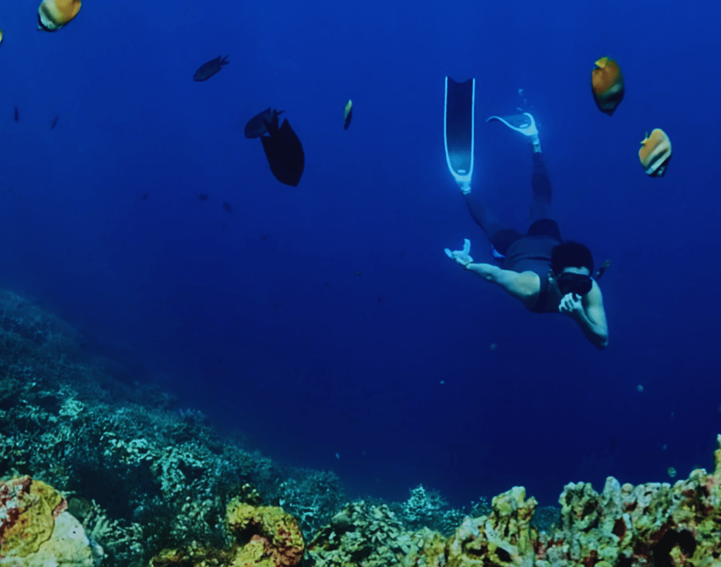 Froyows freediving and equalizing with colorful fishes and corals in the background