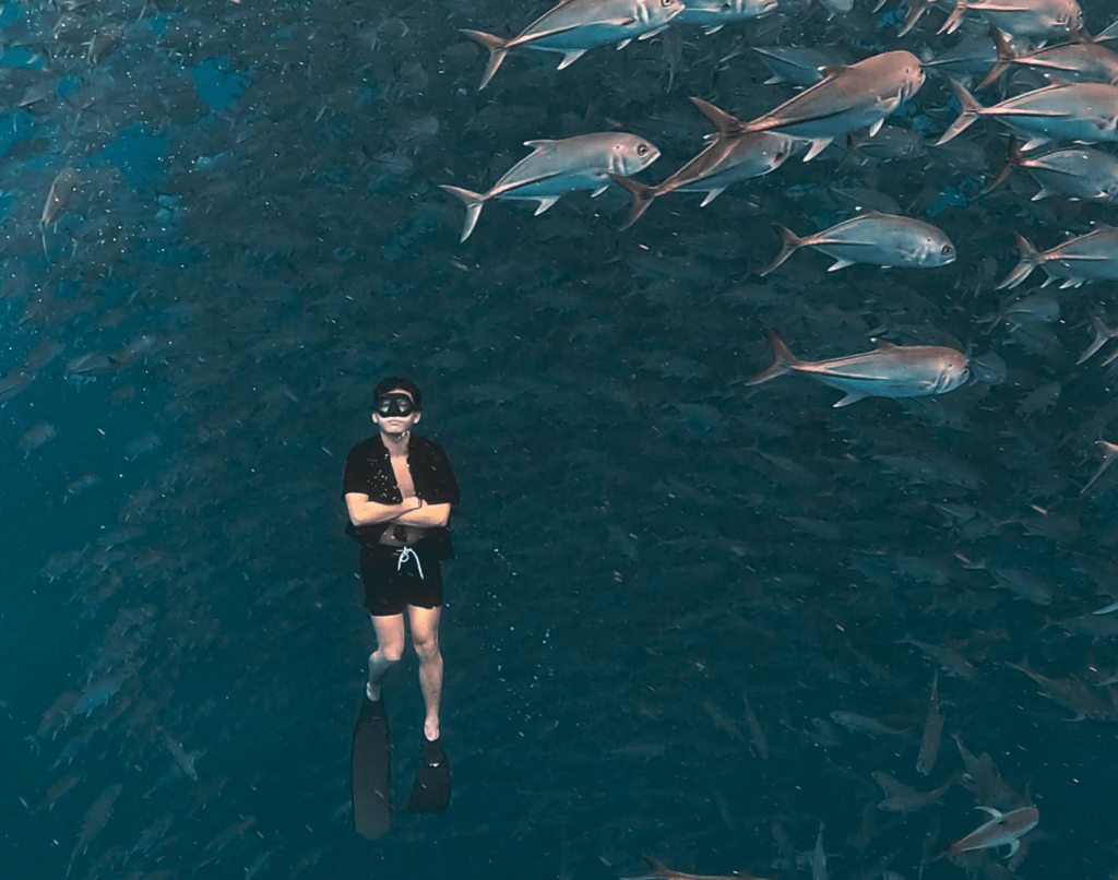Froyows freediving in Balicasag Island, Bohol with the iconic school of jack fish