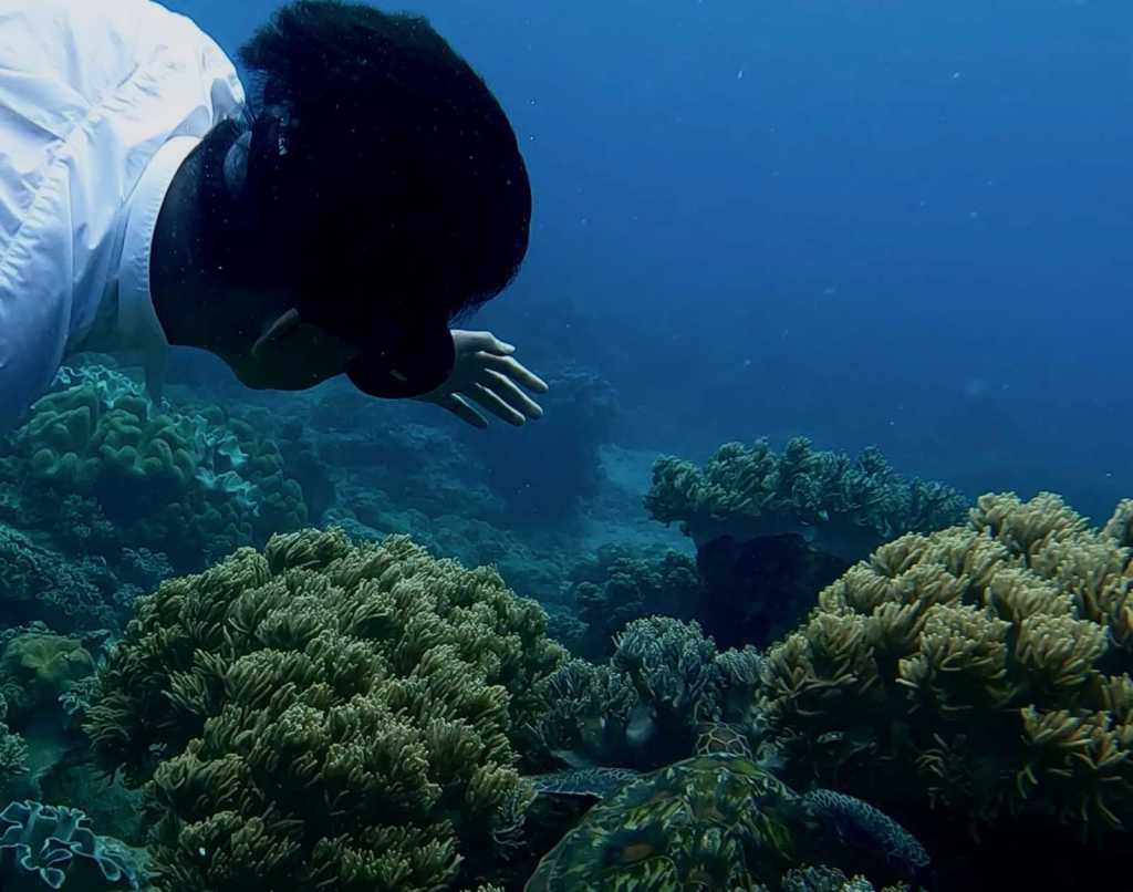 Froyows freediving with the turtles in Apo Island