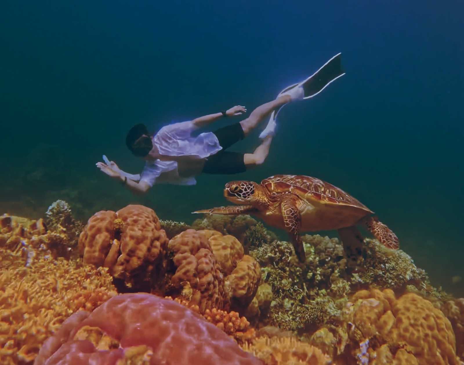 Froyows freediving with a sea turtle in Siquijor