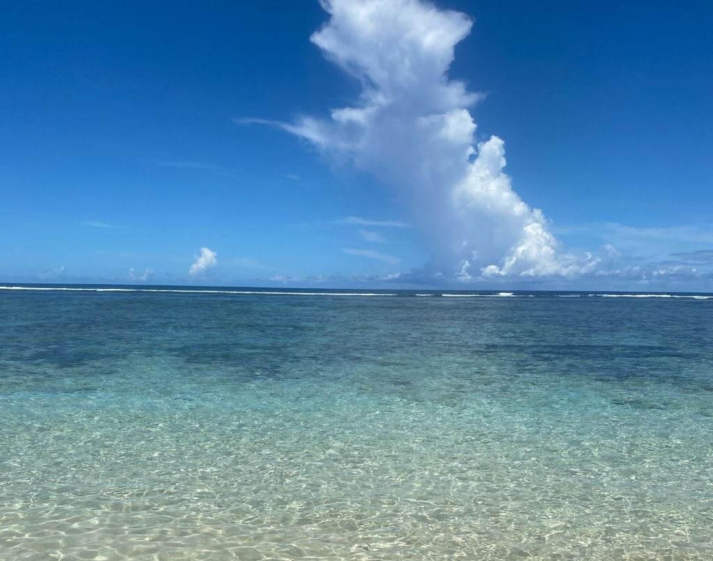 froyows founder's shot of the beach