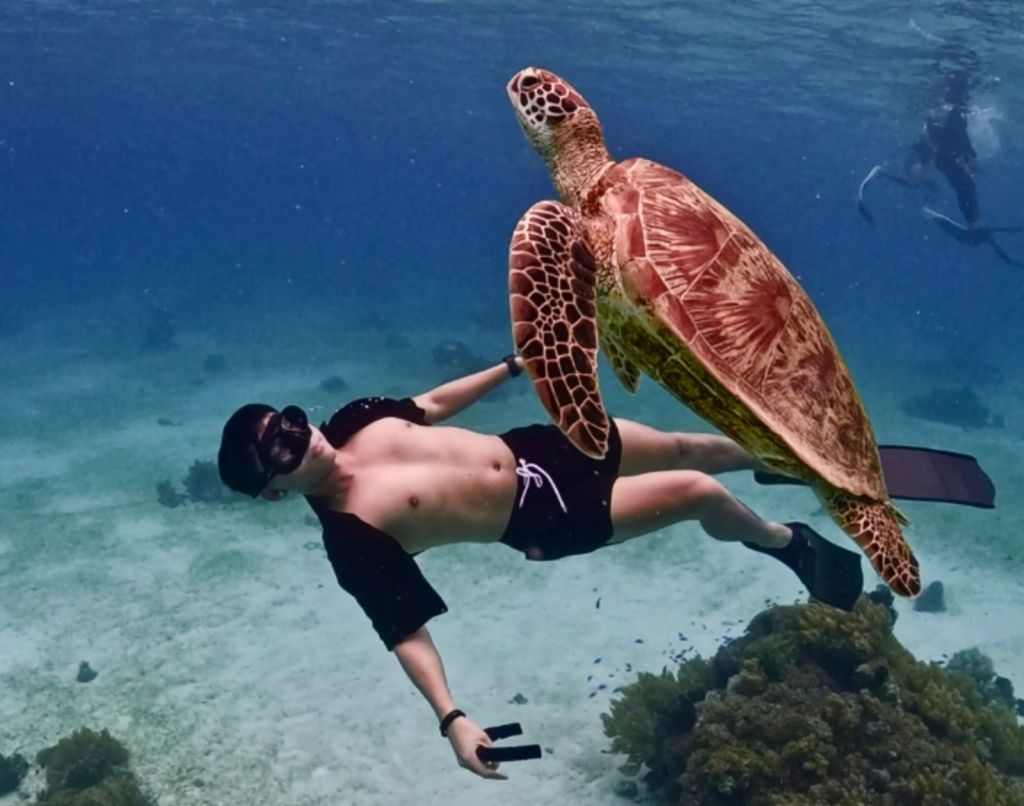 Can You Learn Freediving Even If You Can’t Swim? 2026 Beginner Guide from Zero to Hero