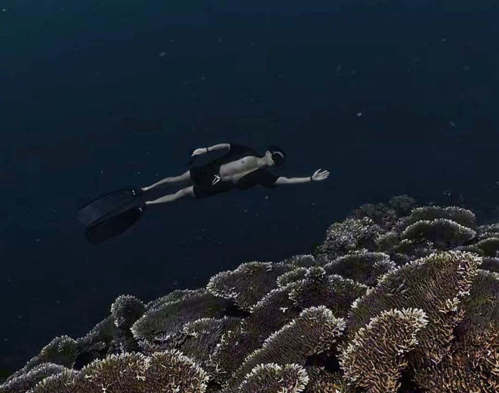 Froyows founder in one of Panglao, Bohol's freediving sessions, gliding over Napaling's iconic table corals