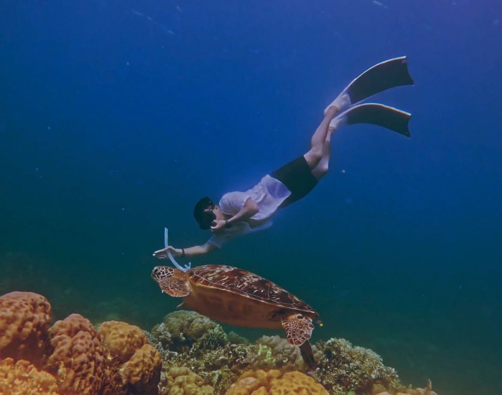 photo of froyows travel & freediving founder freediving in siquijor with a sea turtle while doing proper equalization