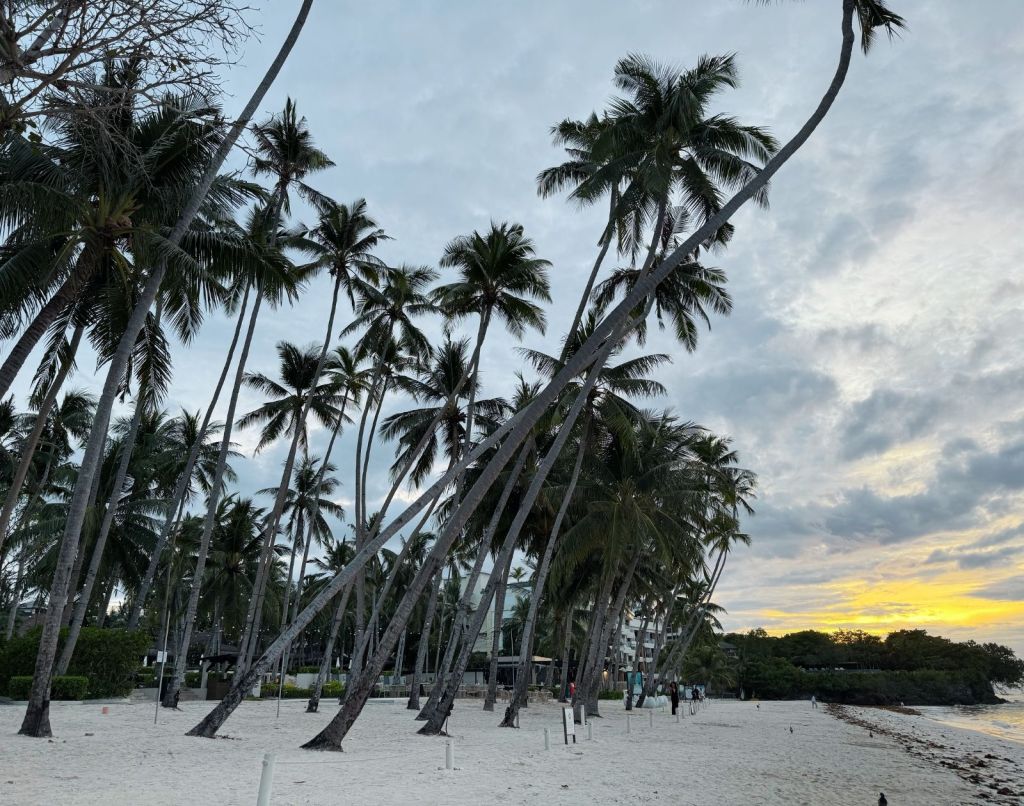 Shot of Alona Beach in the morning with coconuts and the sunrise sky