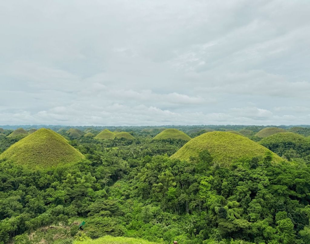Shot of the chocolate hills in its healthy green version